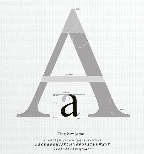 Phông chữ Sans serif phát triển trong thiết kế đồ họa như thế nào? 22 phong chu san serif trat thiet tu dau the nao 19