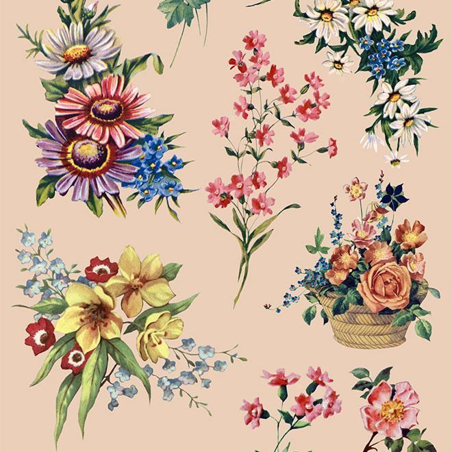 tai nguyen mien phi floral illustrations 2