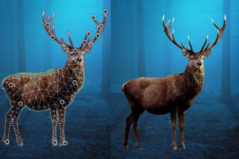 Tạo Hình Ảnh Con Nai Huyền Bí Trong Photoshop 20 20.17
