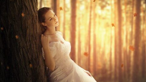 Tạo Ảnh Mùa Thu Trong Photoshop-GenZ Academy