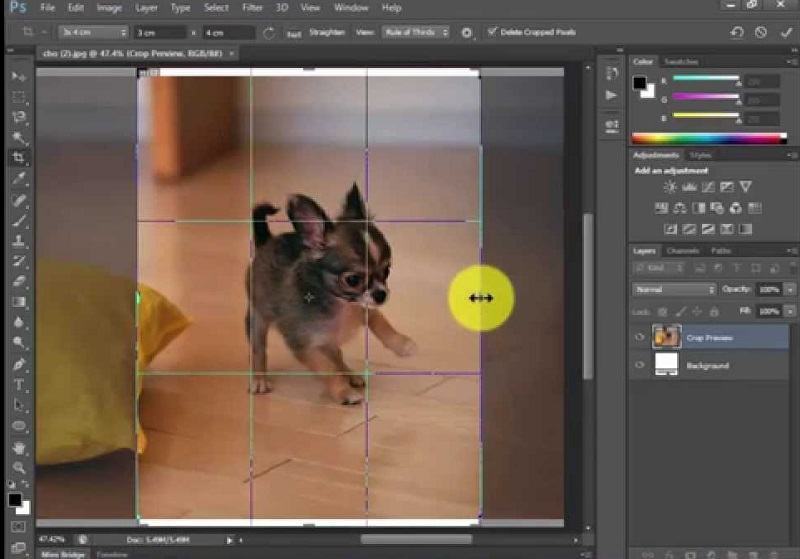 Hướng dẫn cắt ảnh trong photoshop từ cơ bản đến năng cao 1 cat anh trong photoshop