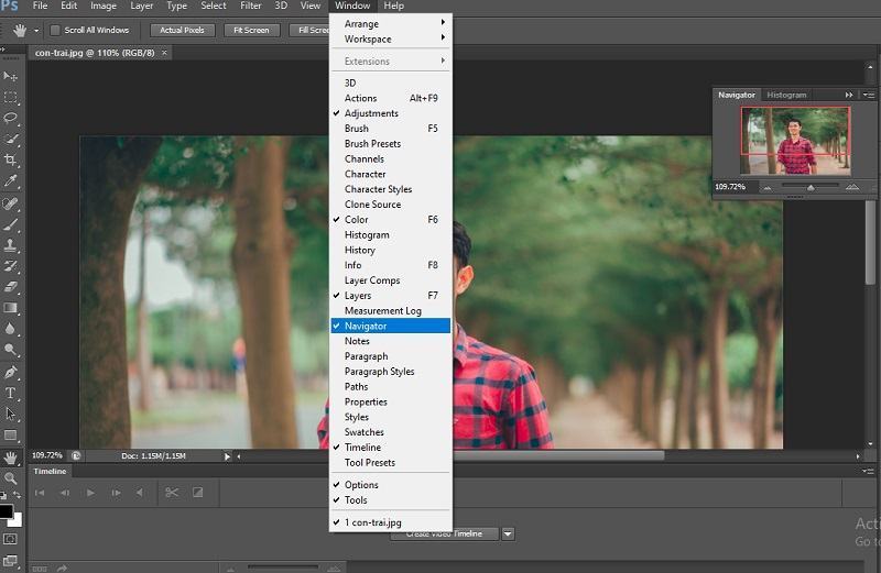 Hướng dẫn những cách zoom trong Photoshop chi tiết 4 zoom tool navigator trong photoshop