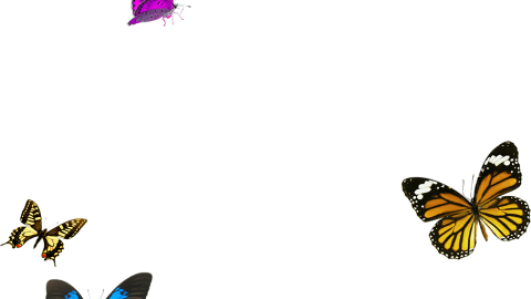 Tài nguyên những con bướm png-GenZ Academy