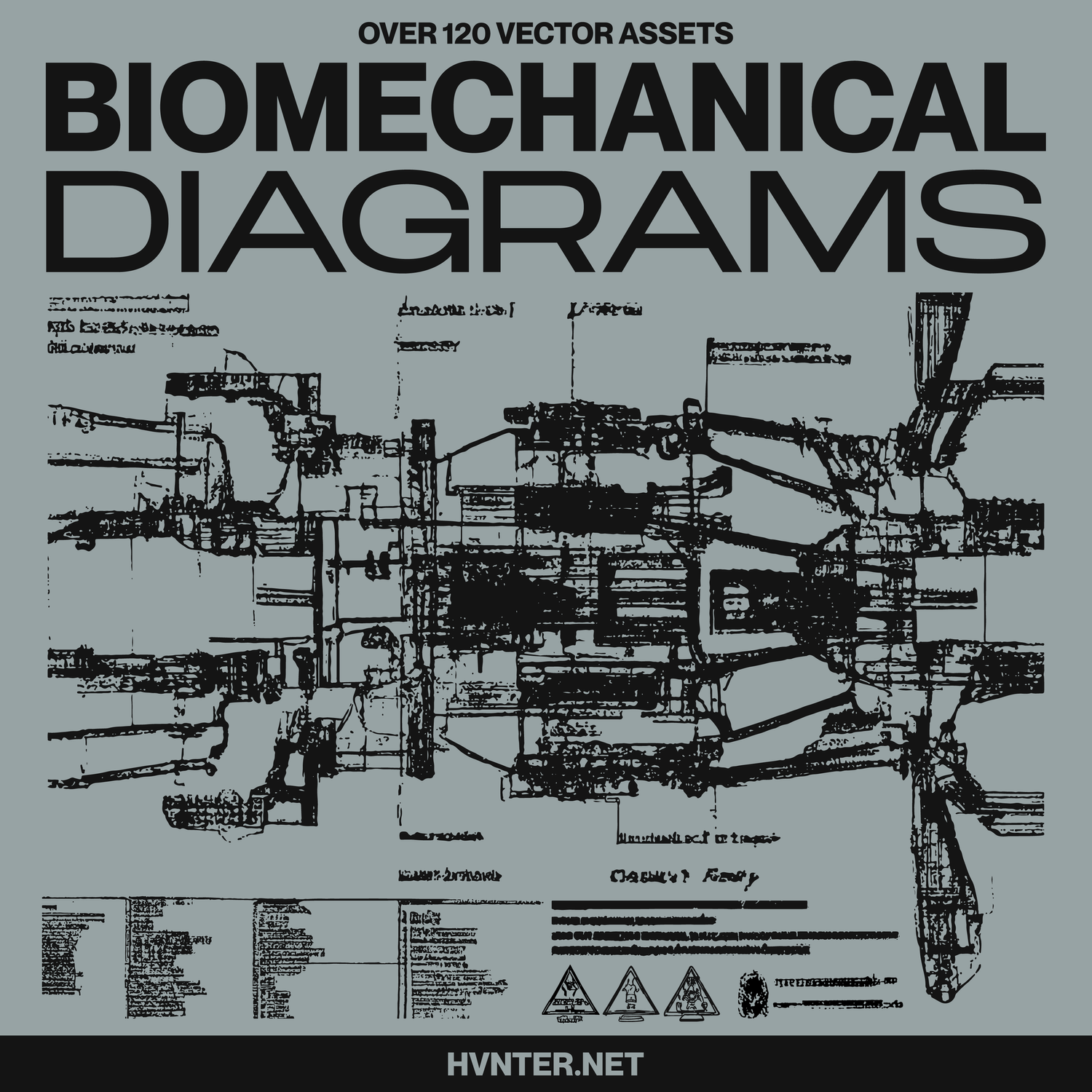 Biomechanical Diagrams - PNG & SVG - GenZ Academy-GenZ Academy
