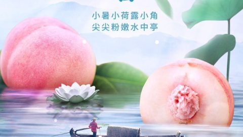 Poster trái cây mùa sương lạnh-GenZ Academy