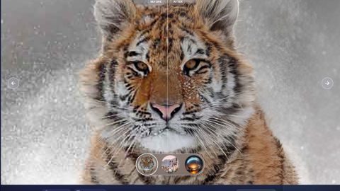 TOPAZ PHOTO AI 2.0 (Có thuốc)-GenZ Academy
