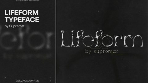 Lifeform Typeface-GenZ Academy