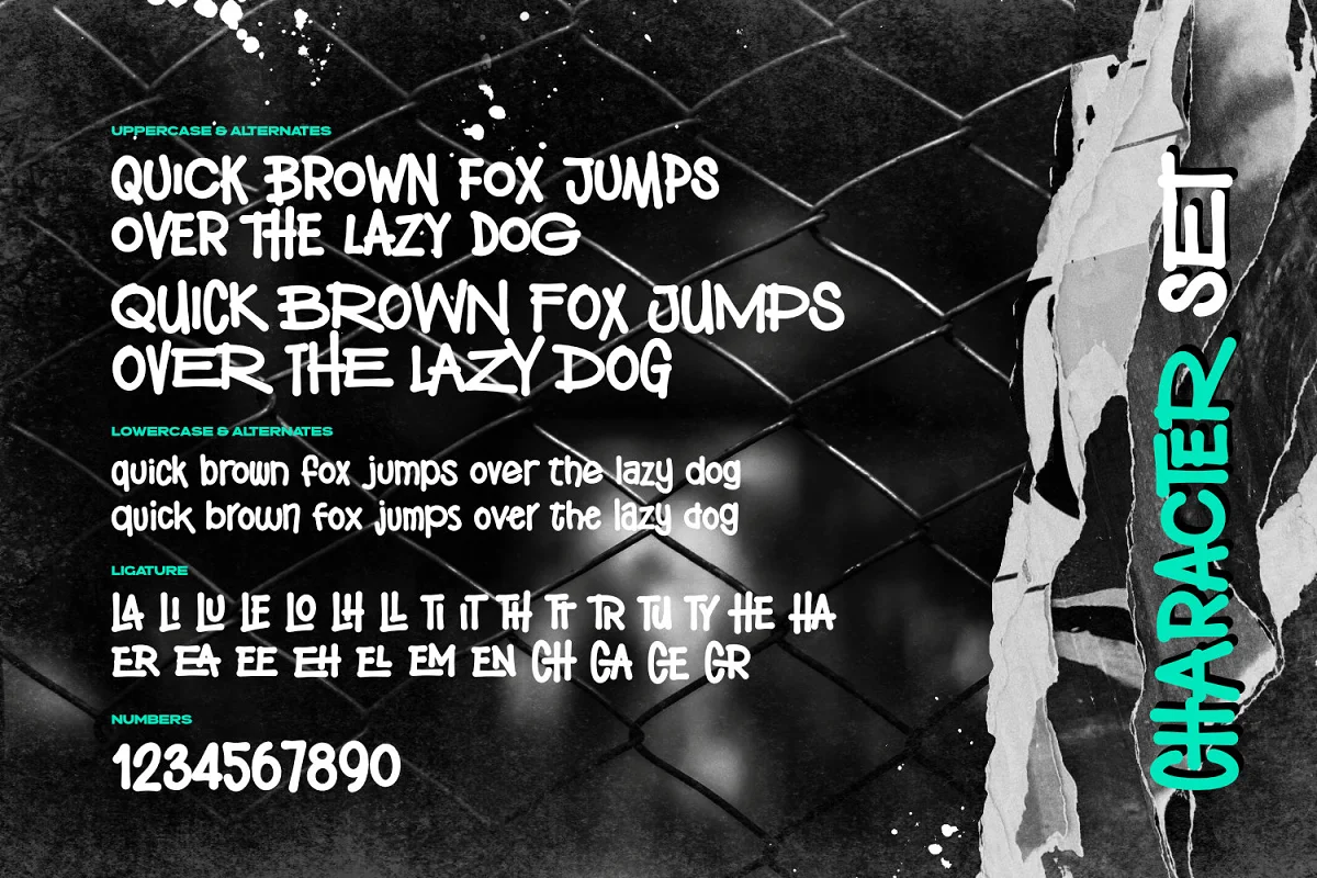 20231018175919208-mc-6-