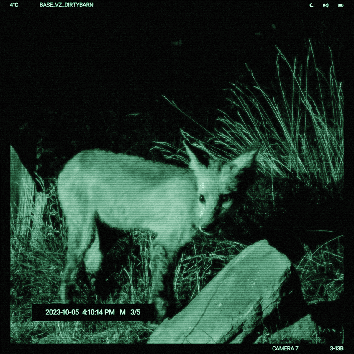 Security Camera Effect PSD GenZ Academy