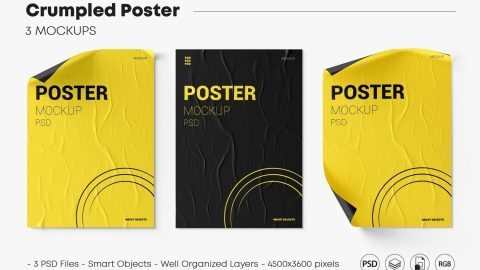 Crumpled Poster Mockup Set-GenZ Academy