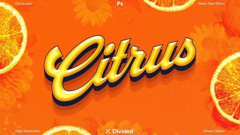 Citrus PSD-GenZ Academy
