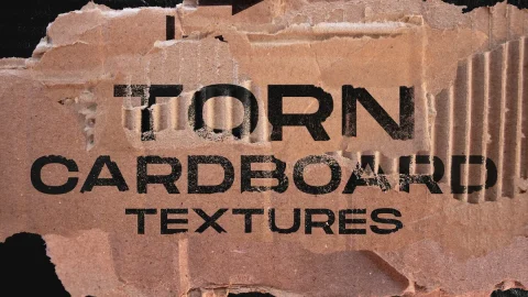 Torn cardboard textures-GenZ Academy