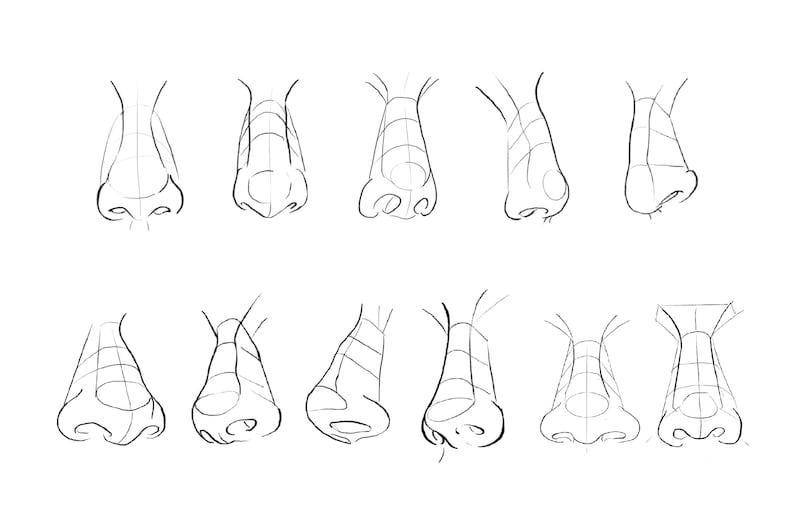 10 Angle Nose Linework Procreate Brushes 1 20231117133327468-il_794xN.4257201654_5ywc