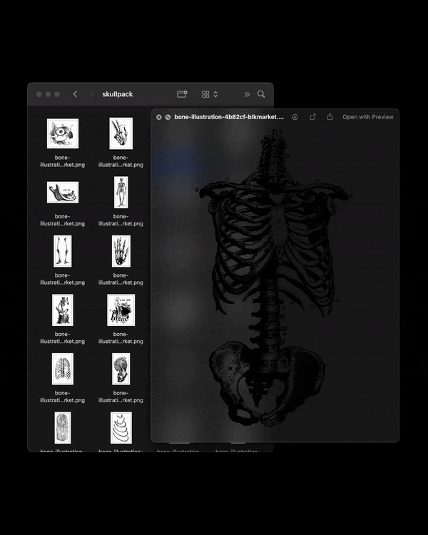 75 cool skull and bone assets for your designs 15$ 7 20231118001918885-skullpack-file-preview