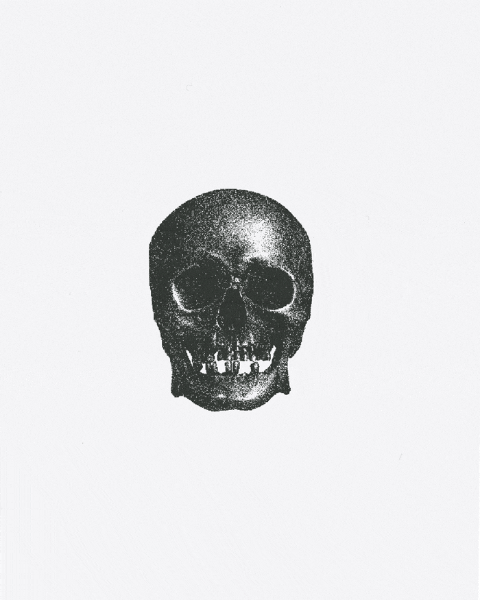75 cool skull and bone assets for your designs 15$ 6 20231118001918989-skullpack-preview-optimized