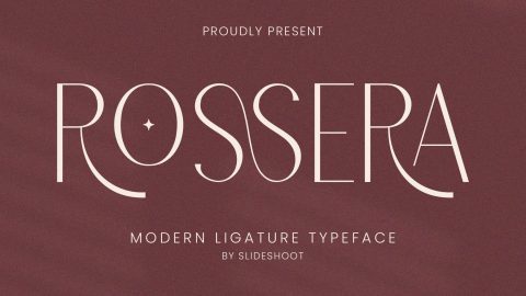 Rossera Sans Serif $15-GenZ Academy