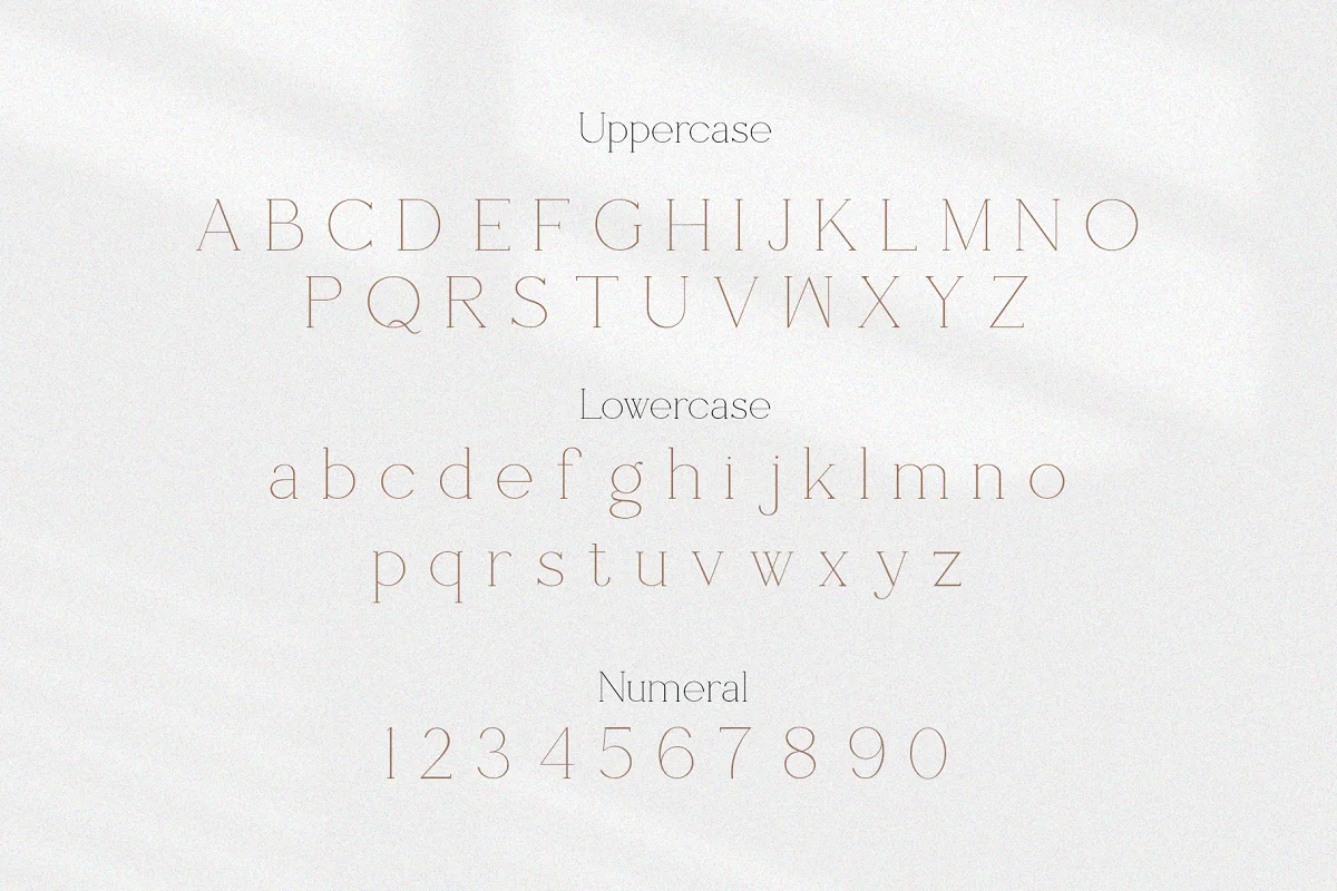 Shoogie Serif Font $17 4 20231120161356663-artboard-4-