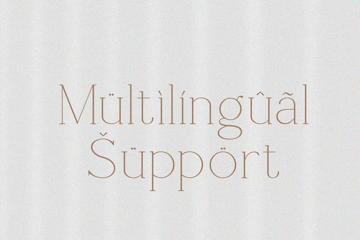 Shoogie Serif Font $17 6 20231120161359947-artboard-6-