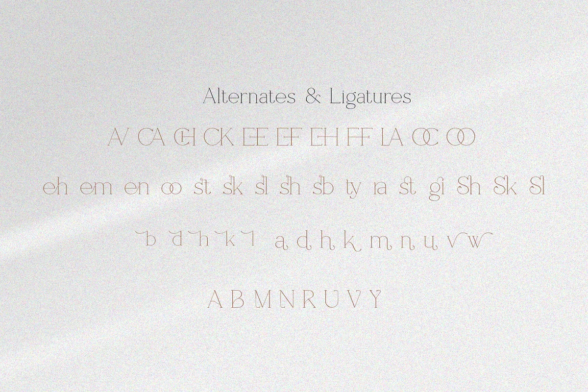 Shoogie Serif Font $17 5 20231120161401535-artboard-5-