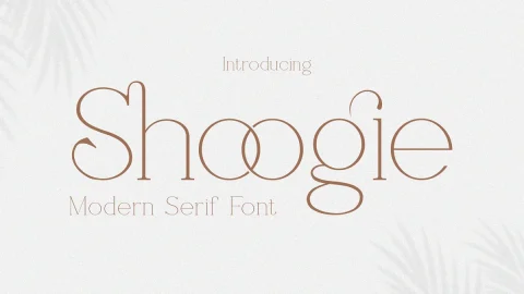 Shoogie Serif Font $17-GenZ Academy