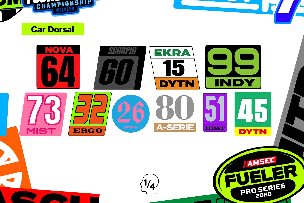 20231212200039843-car-dorsal-