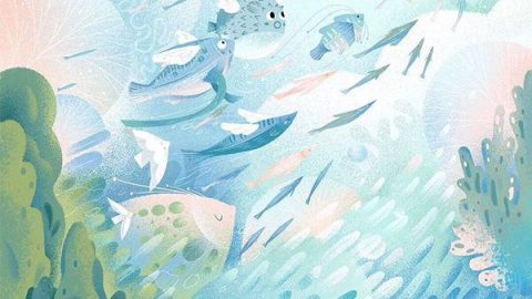 Ảnh bìa người dùng
