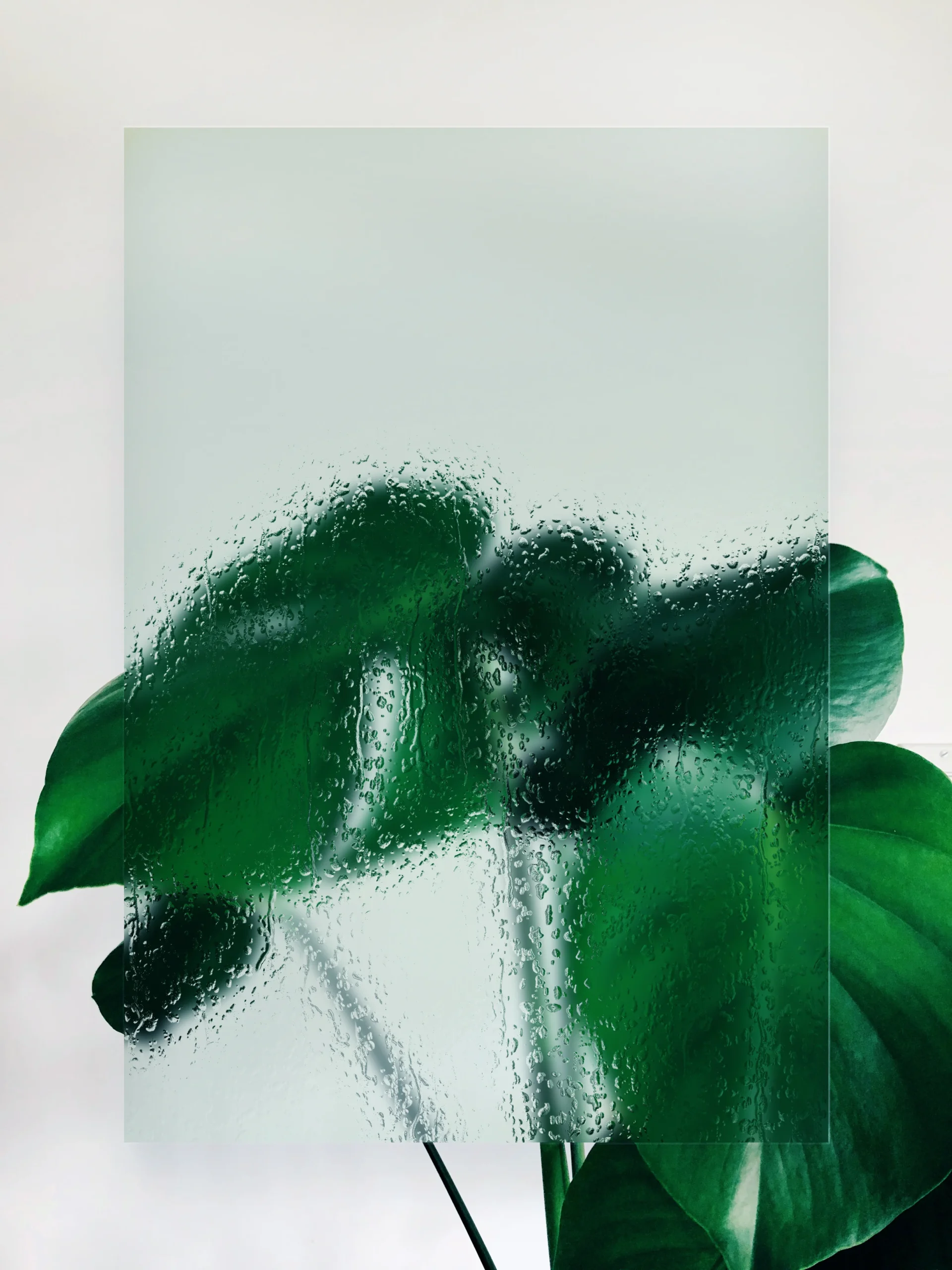 glass_M0RPH1SM 39$ 5 20240405125421621-wet-3_a268ec9b-622c-448f-b4f4-1a9e5d658dc5