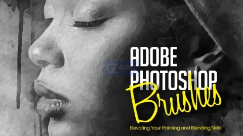 Top 10 brush Photoshop đẹp nhất 2024