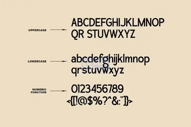 20250211003213195-a8d4c978-b6d0-4a63-9e02-f308b201