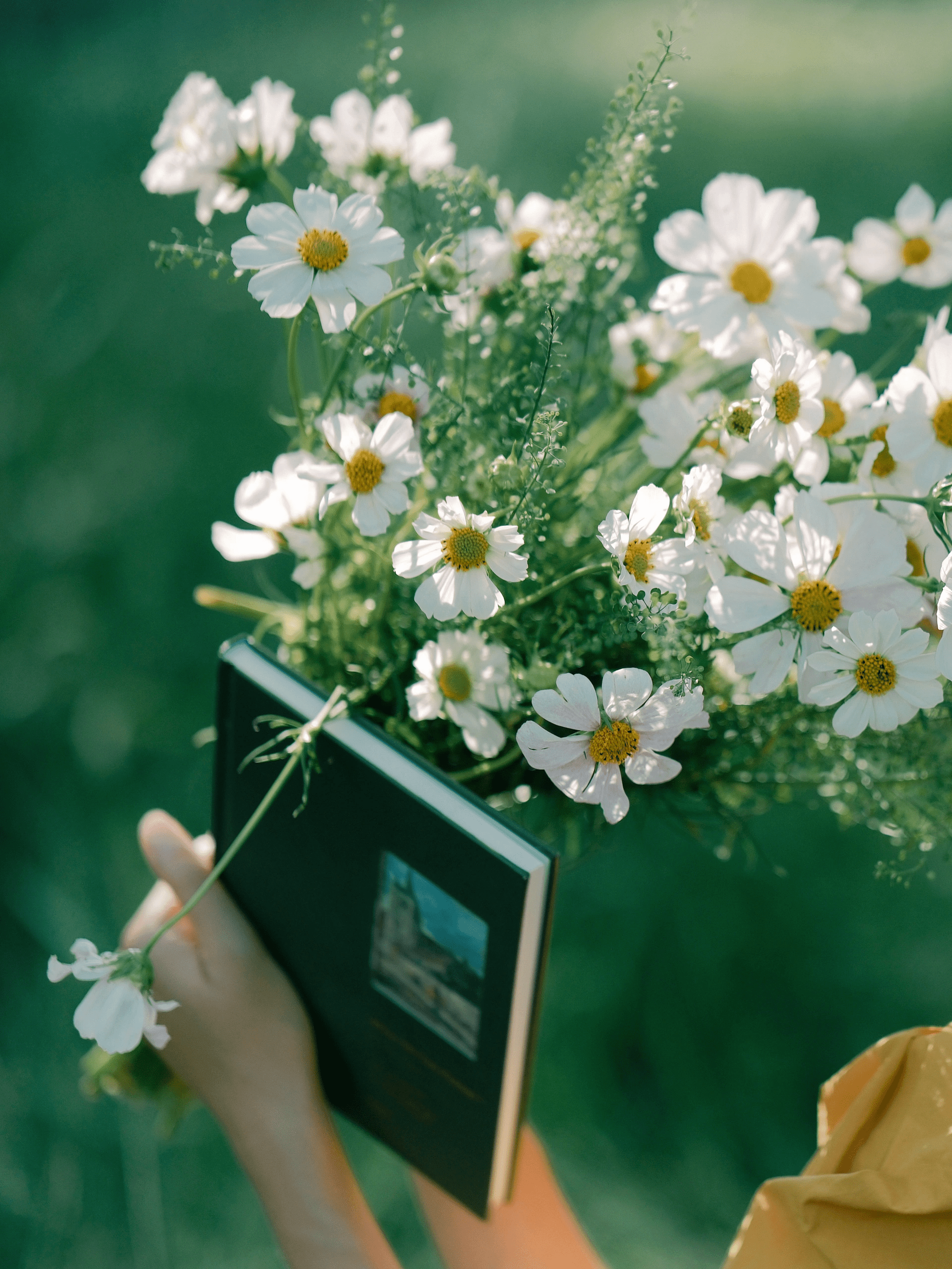 Chụp Ảnh Nghệ Thuật Phong Cách Điện Ảnh Mùa Hè | 🌿💛 Bộ Lọc Xanh Chữa Lành Tâm Hồn 10 20250220214932208-1040g008314pn33p20m5g5n58nl45sud2bv86338