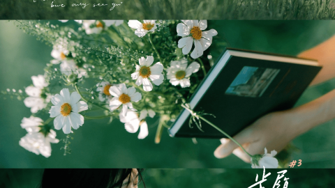 Chụp Ảnh Nghệ Thuật Phong Cách Điện Ảnh Mùa Hè | 🌿💛 Bộ Lọc Xanh Chữa Lành Tâm Hồn-GenZ Academy