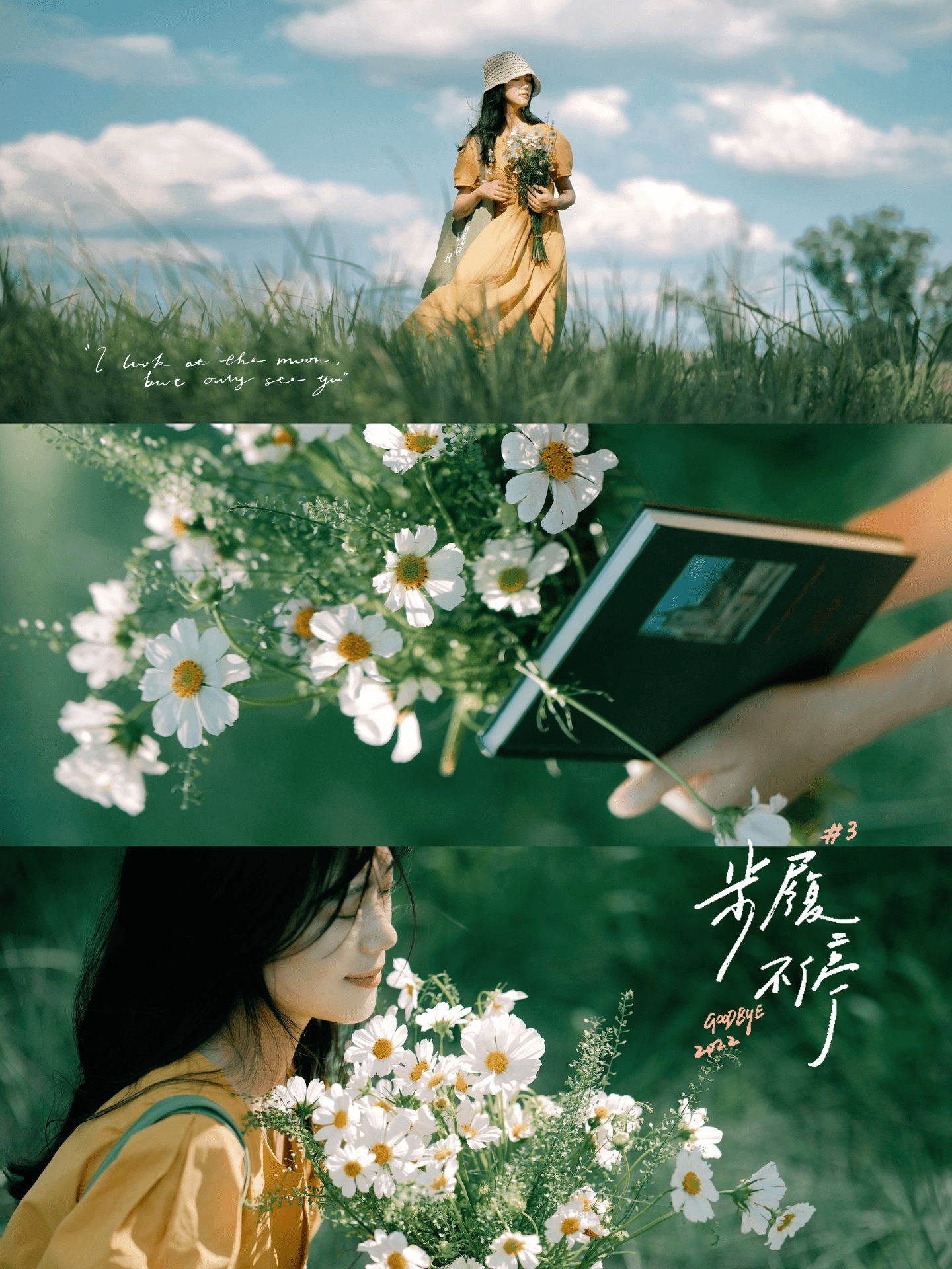 Chụp Ảnh Nghệ Thuật Phong Cách Điện Ảnh Mùa Hè | 🌿💛 Bộ Lọc Xanh Chữa Lành Tâm Hồn-GenZ Academy