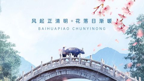 Poster toàn màn hình, định dạng dọc, với phong cảnh thực tế.-GenZ Academy