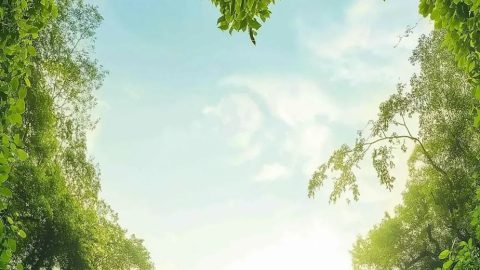 Thiết Kế Poster Với Không Gian Âm Hình Trái Tim.-GenZ Academy