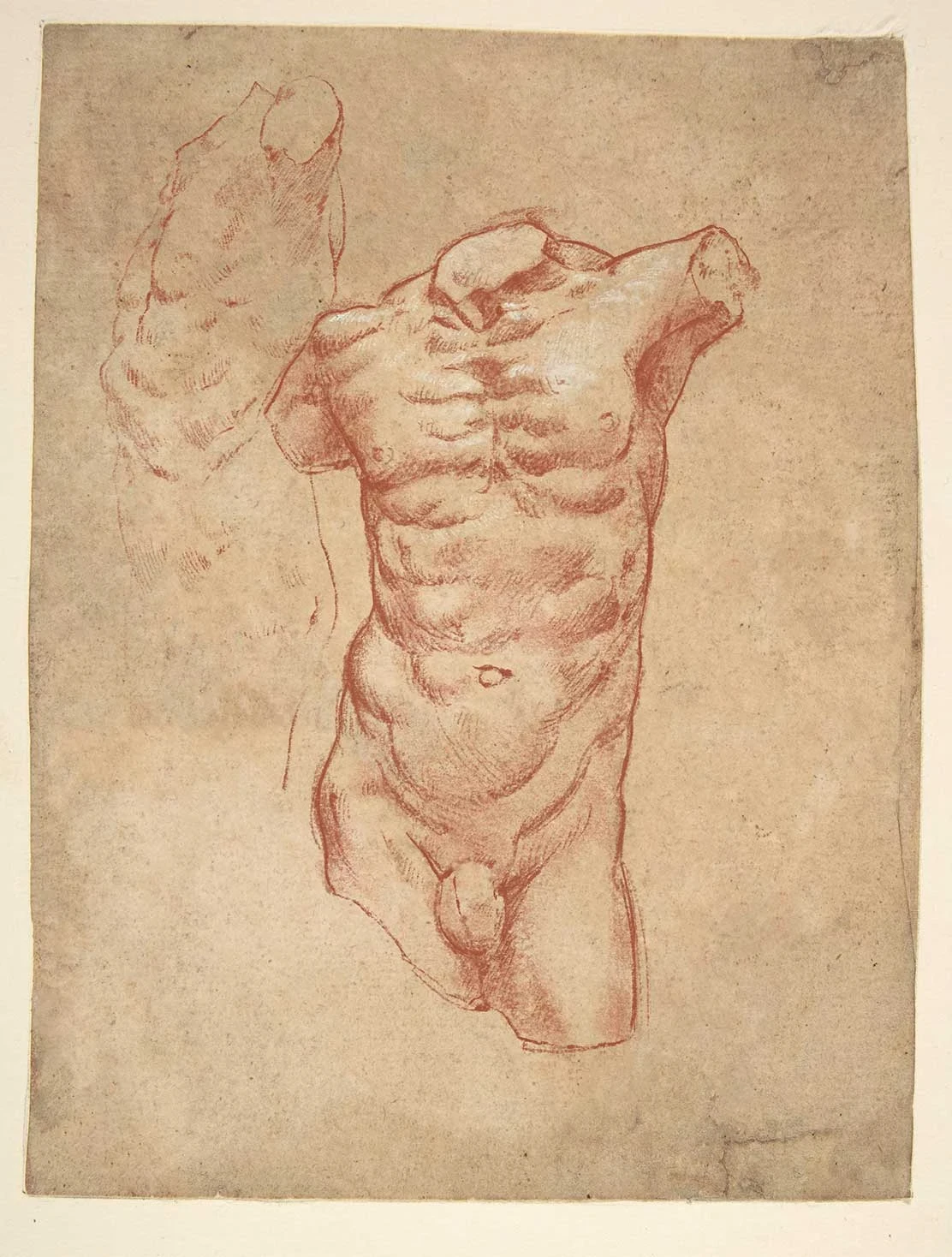 20250911180236999-Torso-Study