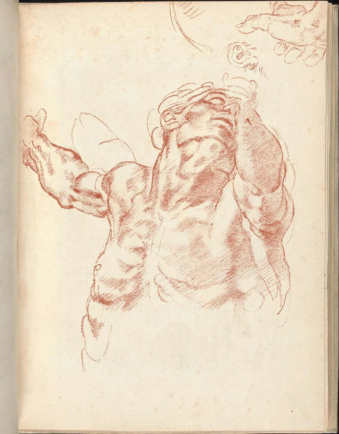 20250911180237160-Michelangelo-Sketchbook-study