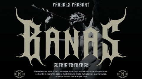 Banas Font $22-GenZ Academy