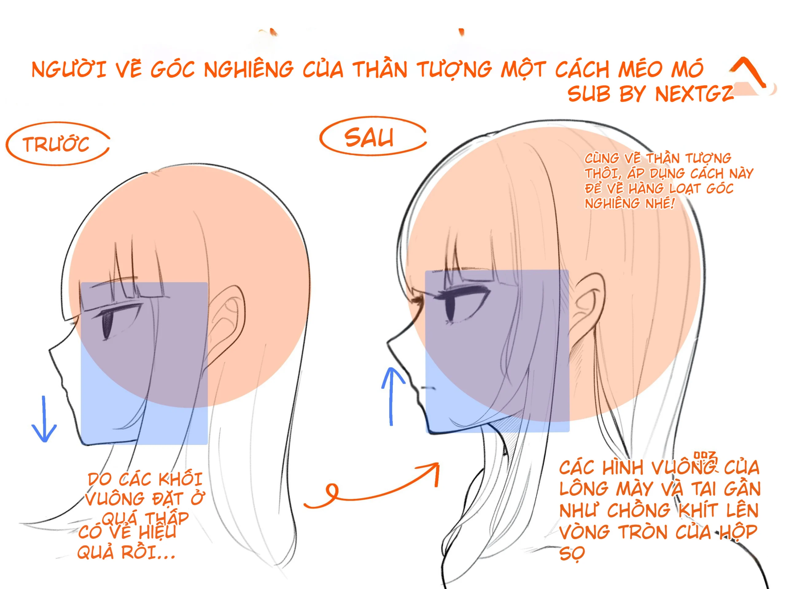 C&aacute;ch vẽ mặt nghi&ecirc;ng anime đẹp hơn: sửa lỗi khối mặt, tai v&agrave; hộp sọ-GenZ Academy