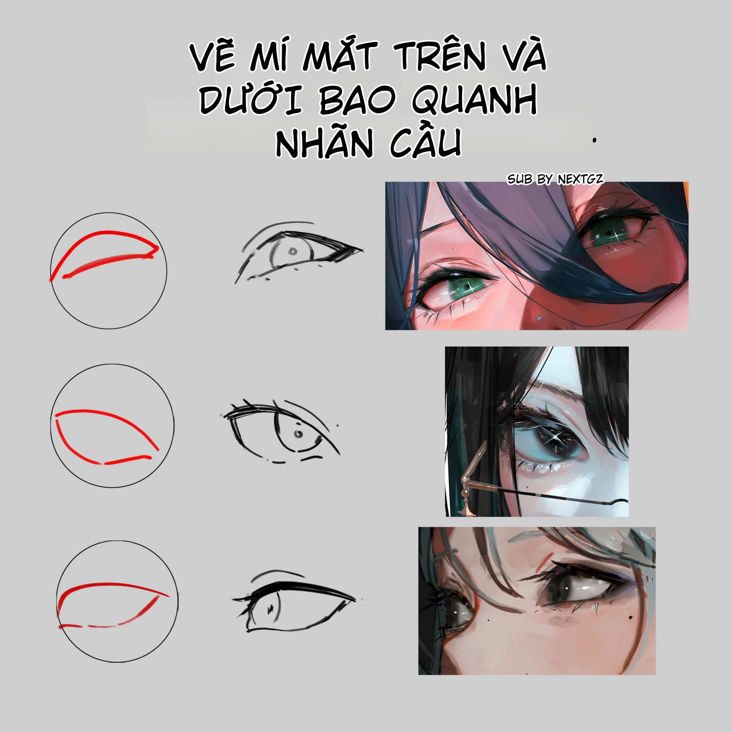 Cách vẽ mí mắt anime ôm quanh nhãn cầu: mí trên, mí dưới và độ dày bờ mi - GenZ Academy-GenZ Academy